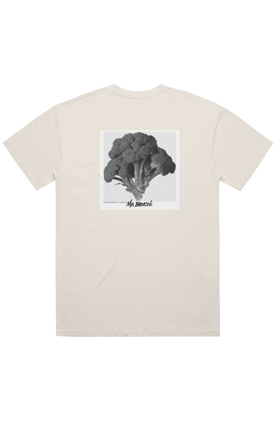 polaroid Tee