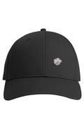 Icon Cap Silver & Black