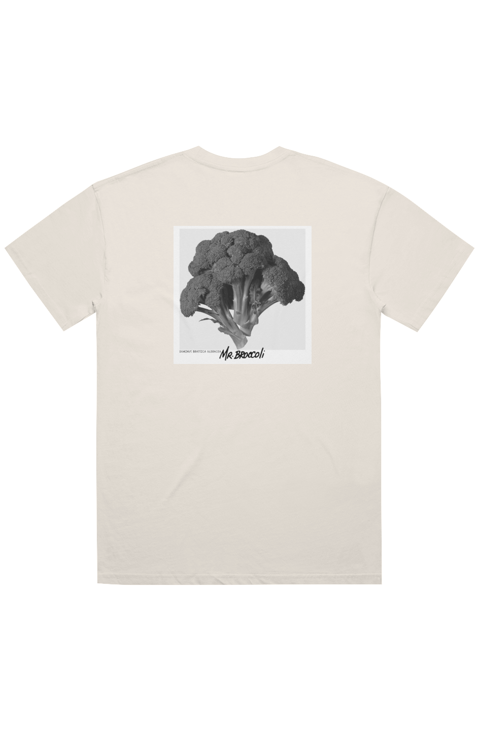 polaroid Tee