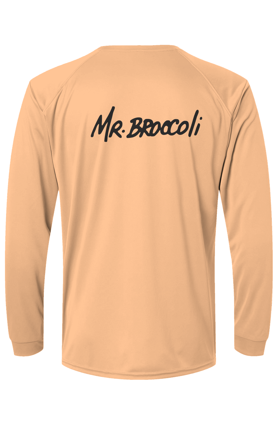 Rashguard SPF50 shirt